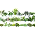 Diverse Flowers And Plants Collection With Succulents Ferns Palms For Garden Decoration