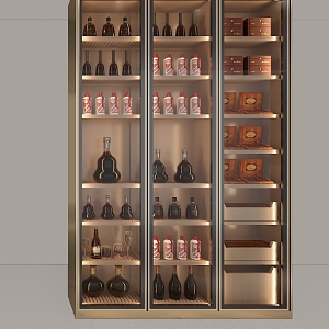 Stainless Steel Wine Cabinet Custom Liquor Cabinet Custom Sample Wine Cabinet Custom Cigar Cabinet 3d model