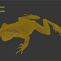 Orange Frog with Open Mouth and Prominent Red Eyes on Dark Background