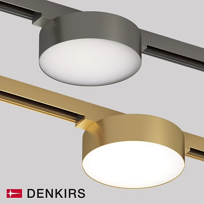Modern Downlights And Spotlights Track Mounted Design With Gold Silver Finish 3d model