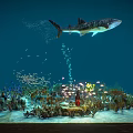 Whale Shark Swimming in Ocean with Small Fish Coral and Bubbles