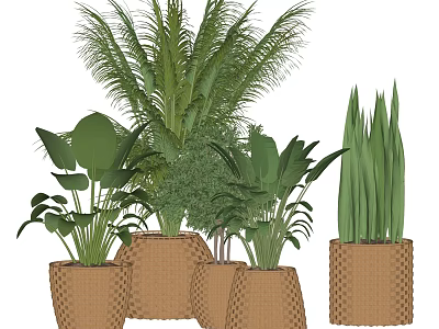 Bonsai Potted Plants With Various Green Leafy Species In Woven Texture Pots 3d model