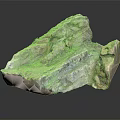Natural Wood and Stone Decorative Piece with Irregular Shape and Color Variations