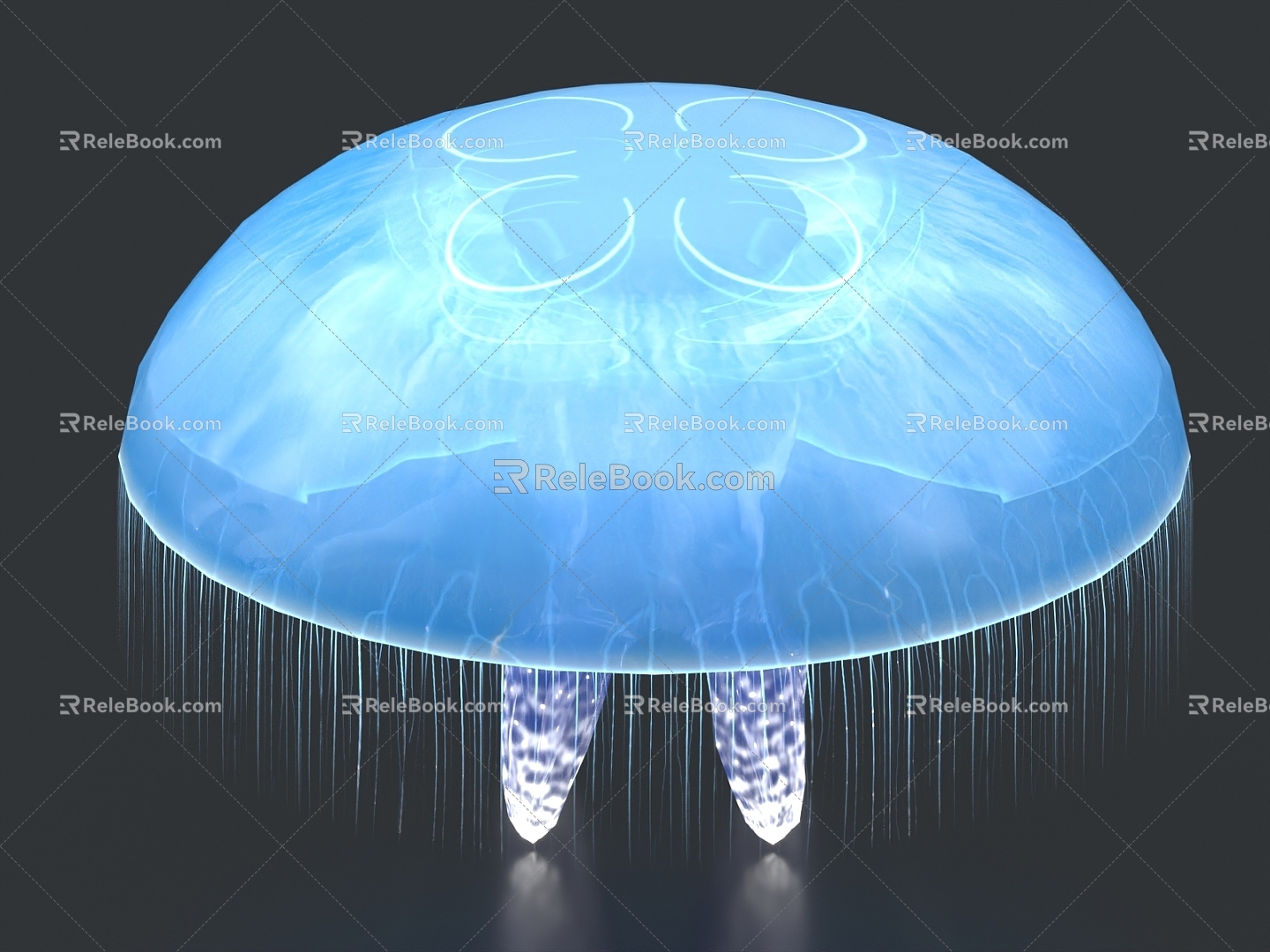 Moon Jellyfish Sea Moon Jellyfish Jellyfish Luminous Jellyfish Marine Life 3d model