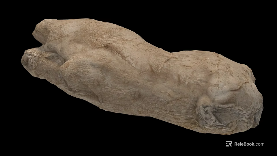 Organic Fresh Root Vegetable With Rough Surface And Light Brown Irregular Shape 3d model 