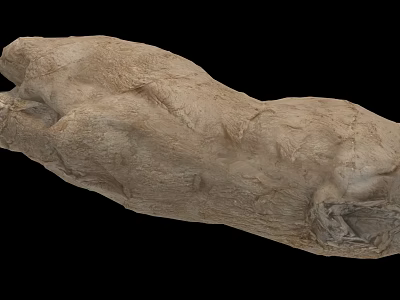 Organic Fresh Root Vegetable With Rough Surface And Light Brown Irregular Shape 3d model