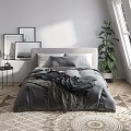 Double Bed with Gray Bedding Framed Pictures Potted Plant Near Window and Wooden Floor Rug