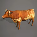 Brown And White Spotted Bull With Long Horns Standing On Gray Background