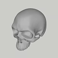 Silver Metallic Skull Sculpture With Polished Surface And Detailed Features 3d model