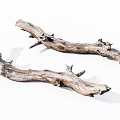 Natural Rustic Wood Logs with Weathered Texture for Home Decor Projects