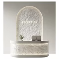 Modern Reception Area With Arched Stone Wall White Curved Counter Laptop And Small Plant