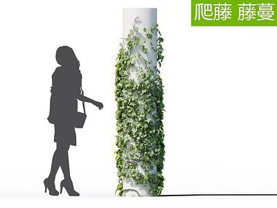 Natural Climbing Vines Covering White Pillar With Woman Silhouette Standing Beside 3d model