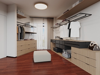 Modern Cloakroom 3d model