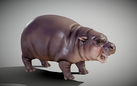 Modern hippopotamus pygmy hippo 3d model