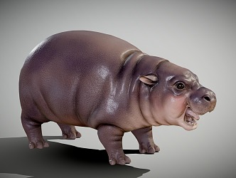 Modern hippopotamus pygmy hippo 3d model