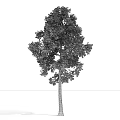 The Modern Tree 3d model