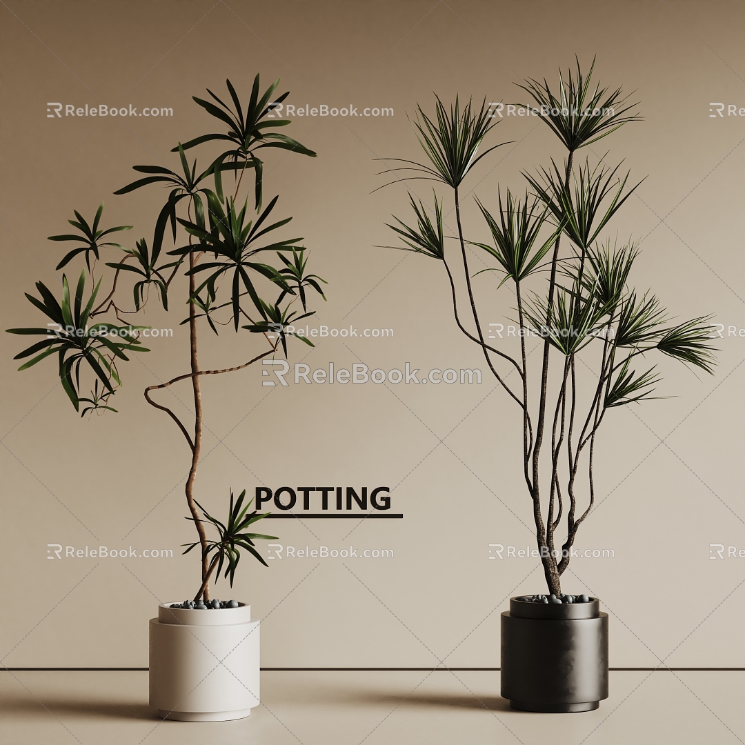 Modern Bonsai Bonsai Green Plant 3d model