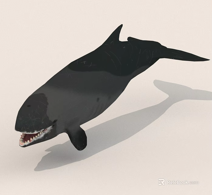 Black Whale With Open Mouth And Exposed Teeth On Light Background With Shadow 3d model