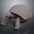 Detailed 3D Turtle Model With Open Mouth Textured Shell And Limbs