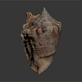 Shiny Conch Shell With Orange Brown Patterns On Dark Reflective Surface