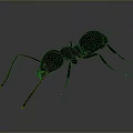 Detailed 3D Rendered Ant With Dark Red Black Body And Long Antennae
