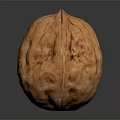 Single Natural Brown Whole Walnut With Textured Shell On Dark Reflective Background 3d model