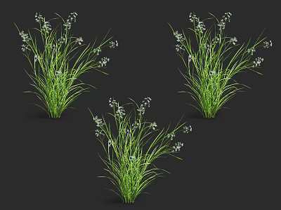 Green Grass With White Small Flowers Three Clumps Of Plants On Black Background 3d model