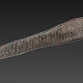 Detailed View Of Aquatic Eel With Long Slender Body And Brown Spotted Skin