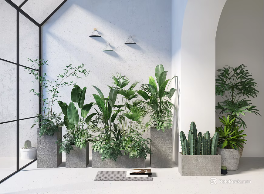 Modern Indoor Bonsai and Potted Plants with Concrete Planters and Green Foliage 3d model 