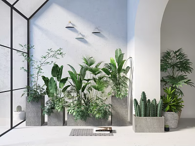 Modern Indoor Bonsai and Potted Plants with Concrete Planters and Green Foliage 3d model