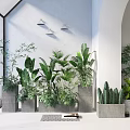 Modern Indoor Bonsai and Potted Plants with Concrete Planters and Green Foliage