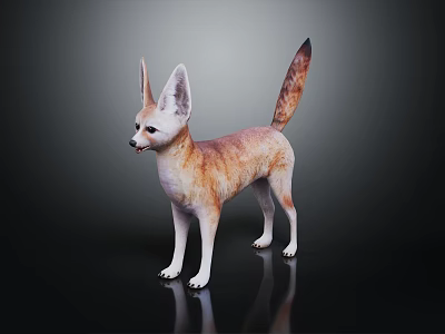 Fennec Fox With Large Ears Tan Fur And Long Tail On Shiny Black Surface 3d model
