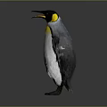 Standing Penguin With Yellow Neck And Black And White Body Outstretched Wings Gray Background