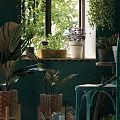 Indoor Potted Plants on Windowsill with Various Flower Pots and Green Wall