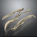 Animal Claw Skeletal Structure Detailed Anatomical Features For Biological Study And Research