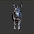 Realistic Gray Donkey Model With Brown Mane Standing On Dark Surface