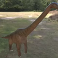 Large Reptile Dinosaur With Long Neck In Natural Forest Grassland Habitat