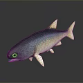 Blue Green Yellow Gradient Aquatic Fish with Yellow Fins Tail Black Eyes and Dark Reflection