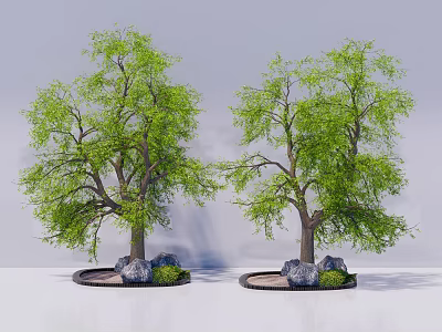 Green Leafy Arbor with Thick Trunks Stones and Small Shrubs on Circular Base 3d model
