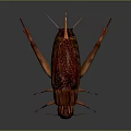 grasshopper insect cartoon locust animation locust anime locust anime game character 3d model