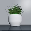 Modern Potted Plant with Green Grass in White Geometric Pot on Gray Tabletop