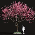 Pink Flowering Tree with White Base and Green Plants Near Human Figure Sculpture