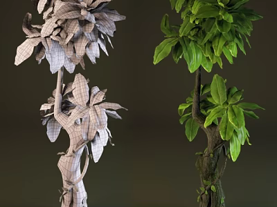 Two Contrasting Plants With Dried Gray Leaves Twisted Vines And Lush Green Foliage Tree Trunk 3d model