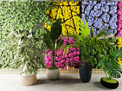 Indoor Decorative Potted Plants With Colorful Flower Wall And Various Greenery 3d model
