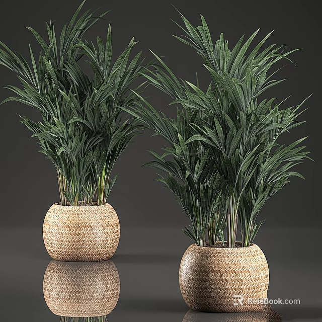 Garden Decor With Green Plants In Woven Pots For Home Garden Natural Accent 3d model 