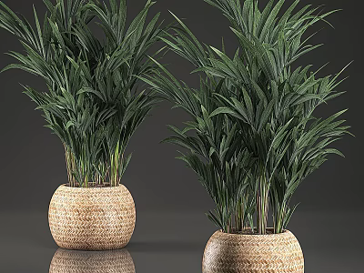 Garden Decor With Green Plants In Woven Pots For Home Garden Natural Accent 3d model