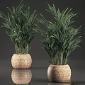 Garden Decor With Green Plants In Woven Pots For Home Garden Natural Accent