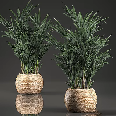 Garden Decor With Green Plants In Woven Pots For Home Garden Natural Accent 3d model
