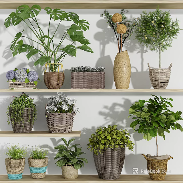 Bonsai and Potted Plants Arranged on Shelves with Wicker Baskets and Various Greenery 3d model 