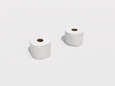 Toilet paper roll 3d model